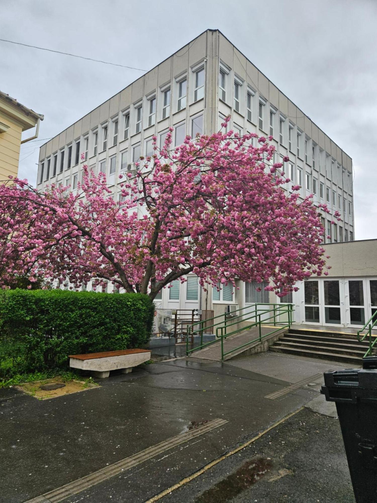 Hellowine Apartman II Eger Luaran gambar